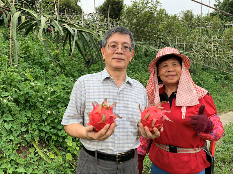 ▲台灣三安農法消費合作社籌備會主任委員廖坤榮(左)走訪果園參觀,並與正在工作的郭素貞女士(一九八四年神農獎得主、現任嘉義縣傑出農民協會理事長)合影。(照片/台灣扶農協會提供)