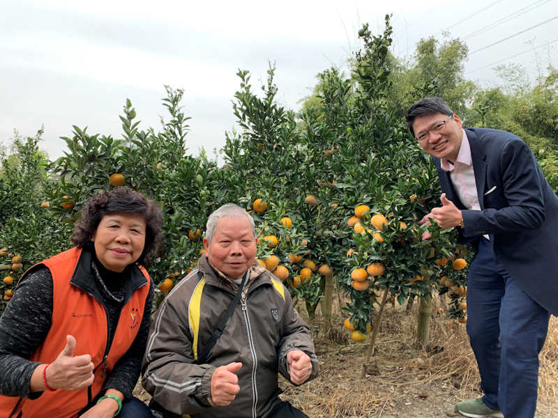 ▲青銀聯盟總經理賴炆驞(右)在陳姓農友(中)的茂谷柑果園裡,開心的與大家拍照合影。左為嘉義縣傑出農民協會理事長郭素貞。