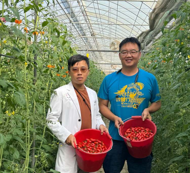 ▲侯松谷醫師（左）到農園考察農友生產安全無毒小番茄的過程。（照片／社團法人台灣扶農總會提供）